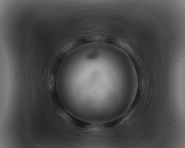 X0000085750077200703231142