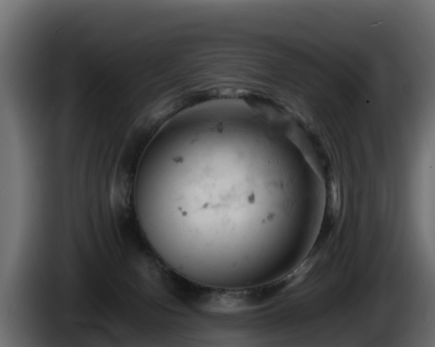 X0000085750078200703231142