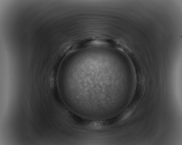 X0000085750080200703231142