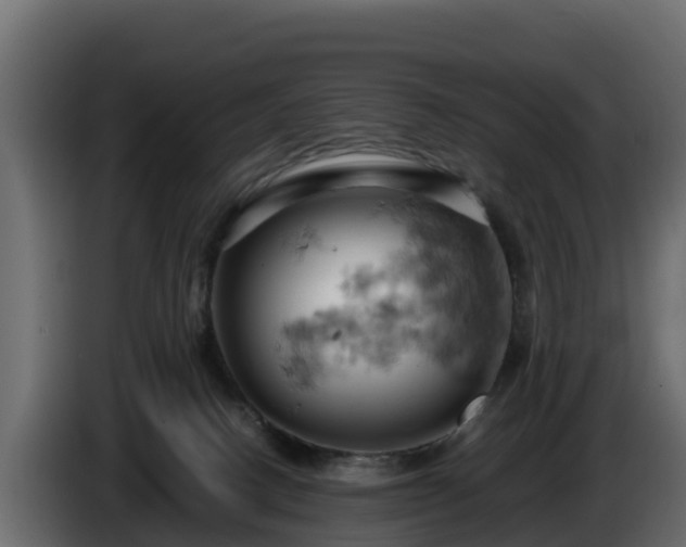 X0000085750082200703231142