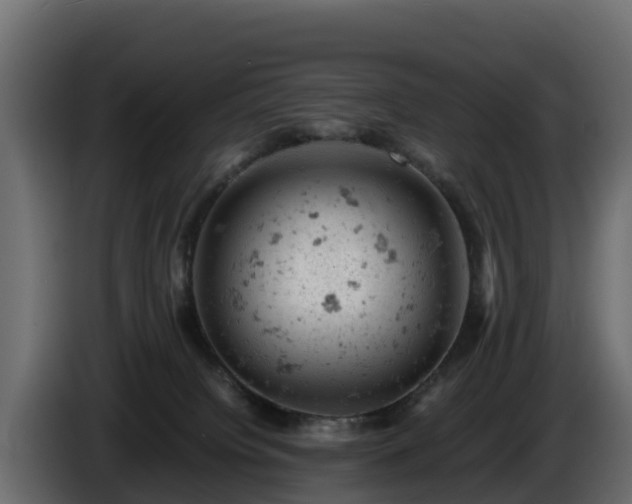 X0000085750084200703231142