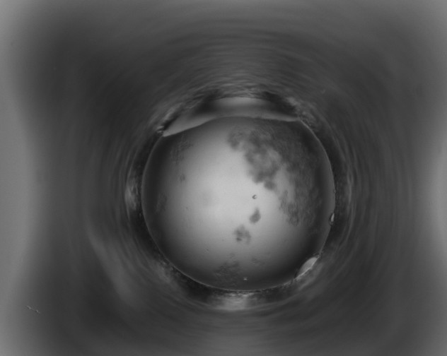 X0000085750090200703231142