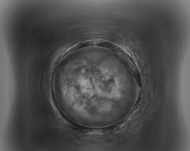 X0000085750097200703231141