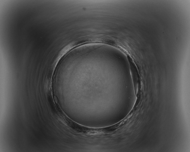 X0000085750099200703231141