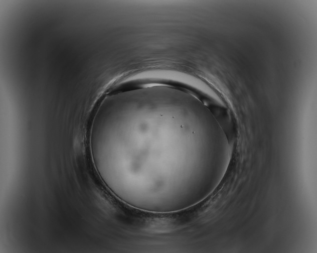 X0000085750107200703231141