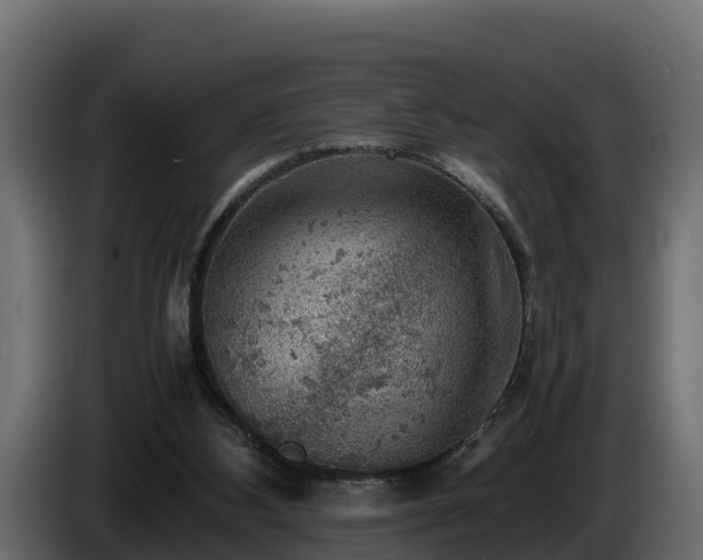 X0000085750108200703231141