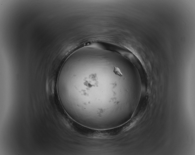 X0000085750109200703231141