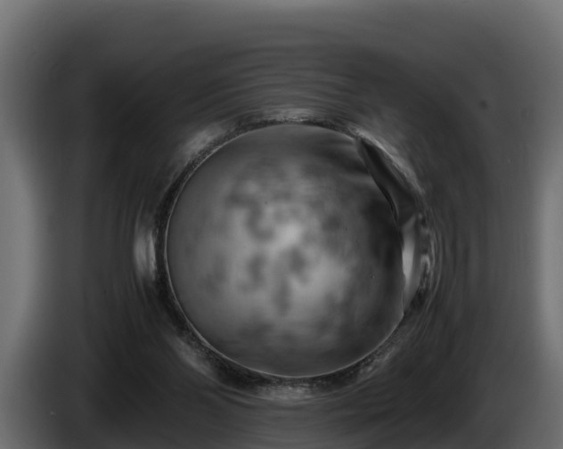 X0000085750110200703231141