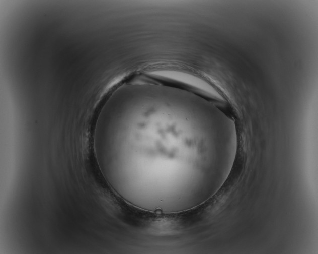 X0000085750111200703231141