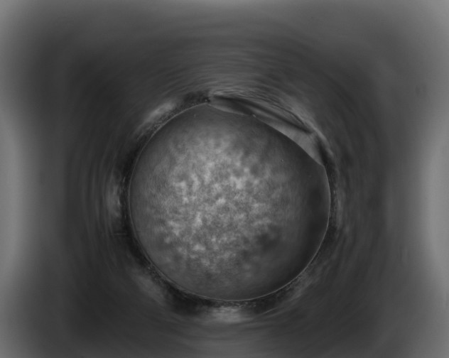 X0000085750114200703231141