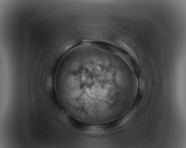 X0000085750117200703231141