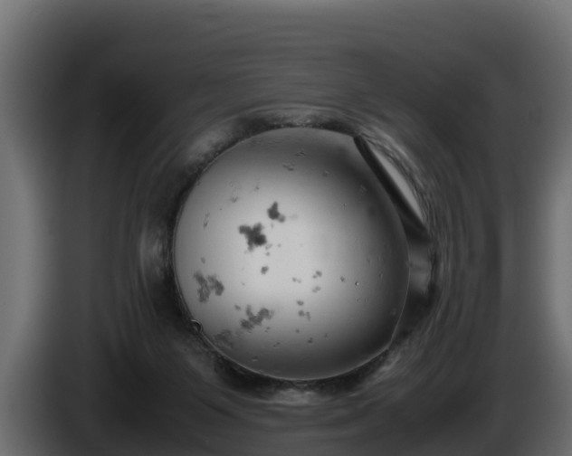 X0000085750119200703231141