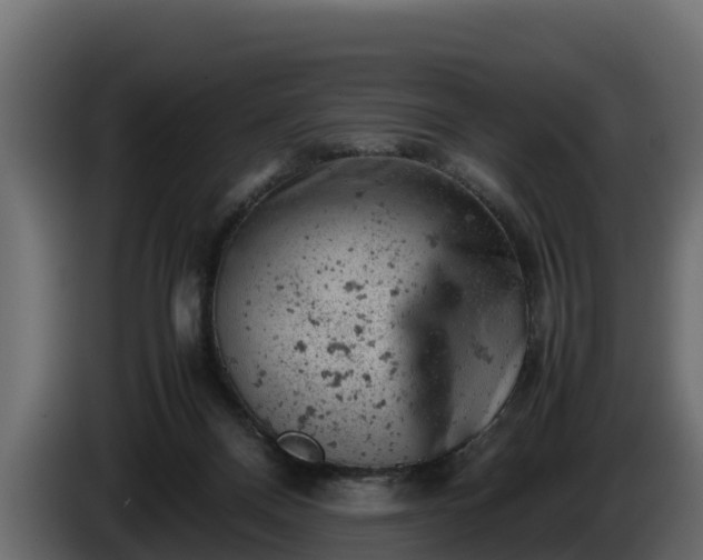 X0000085750120200703231141