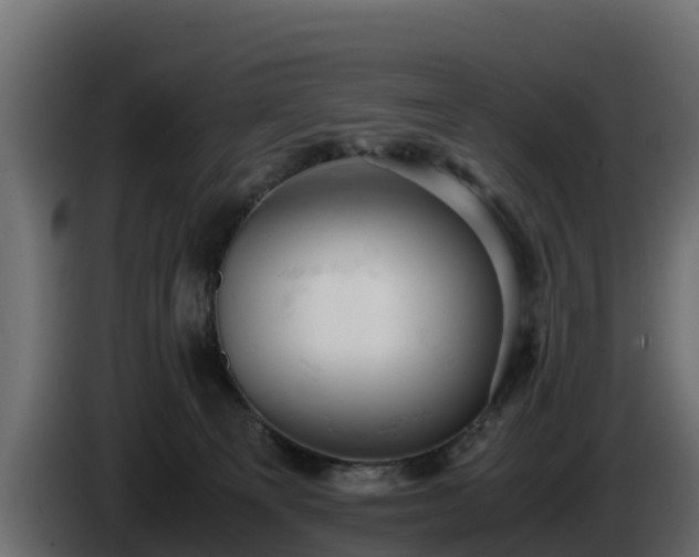 X0000085750129200703231141