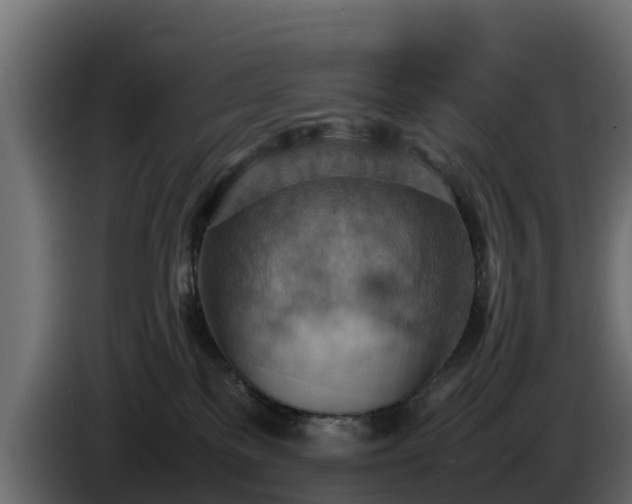 X0000085750137200703231141