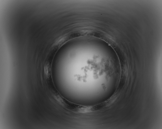 X0000085750138200703231141