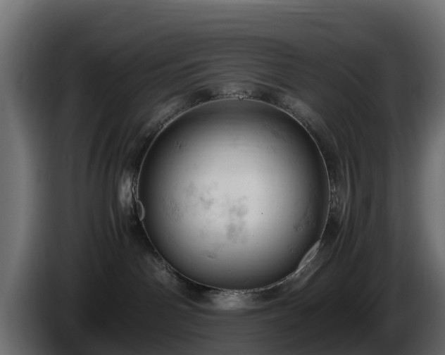 X0000085750142200703231141