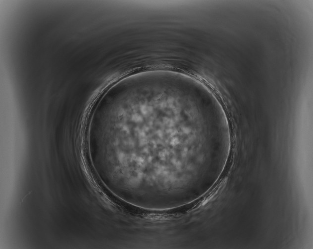 X0000085750145200703231140