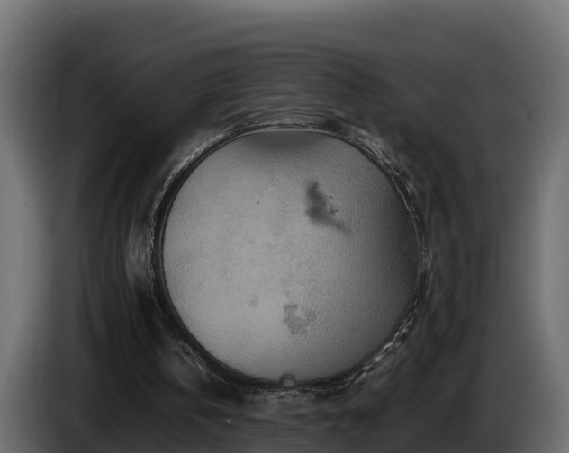 X0000085750146200703231140