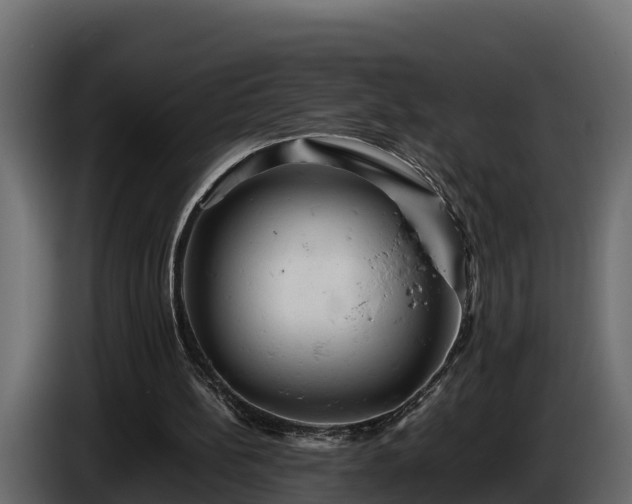 X0000085750148200703231140