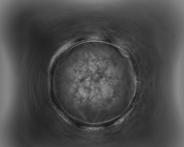 X0000085750149200703231140