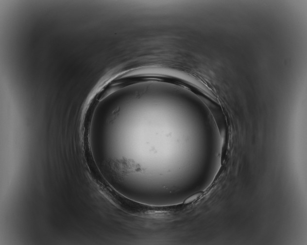 X0000085750150200703231140