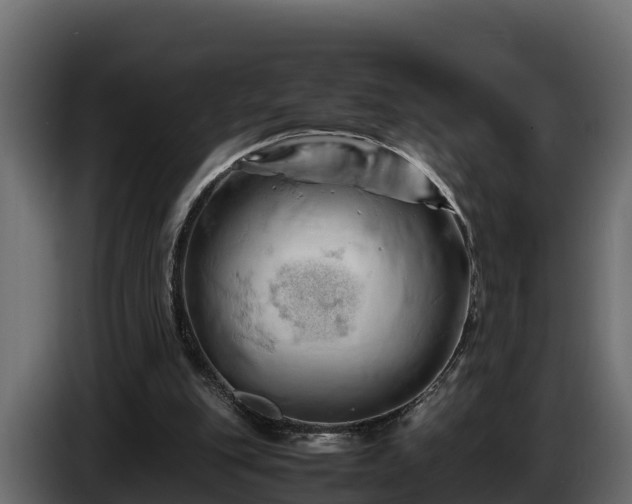 X0000085750151200703231140