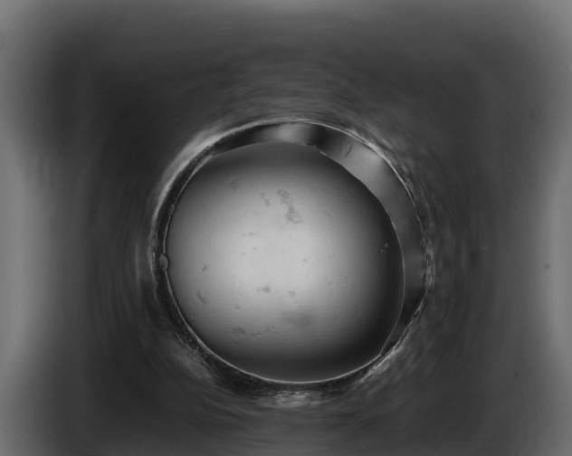 X0000085750152200703231140