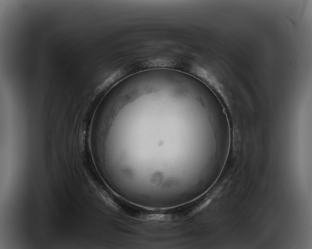 X0000085750153200703231140