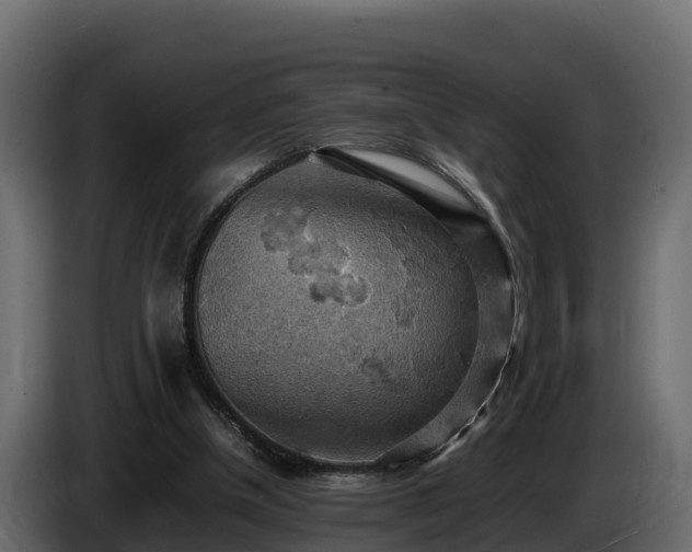 X0000085750154200703231140