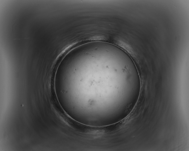 X0000085750155200703231140