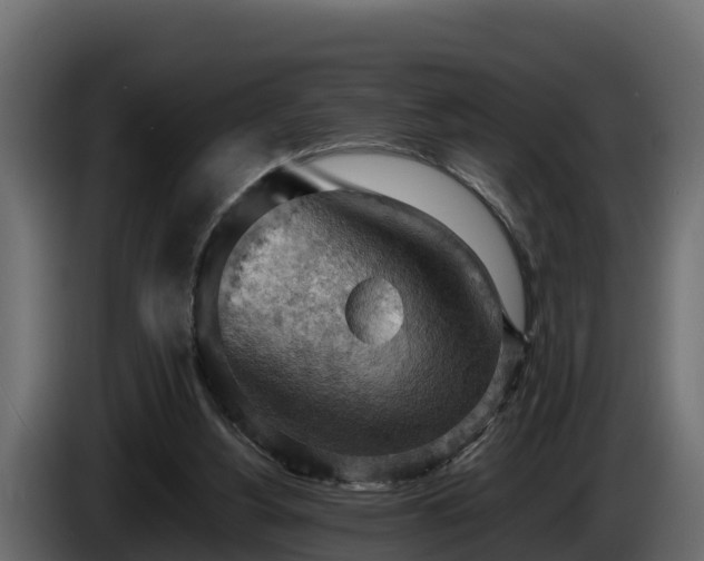 X0000085750156200703231140