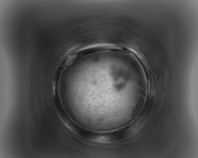 X0000085750157200703231140