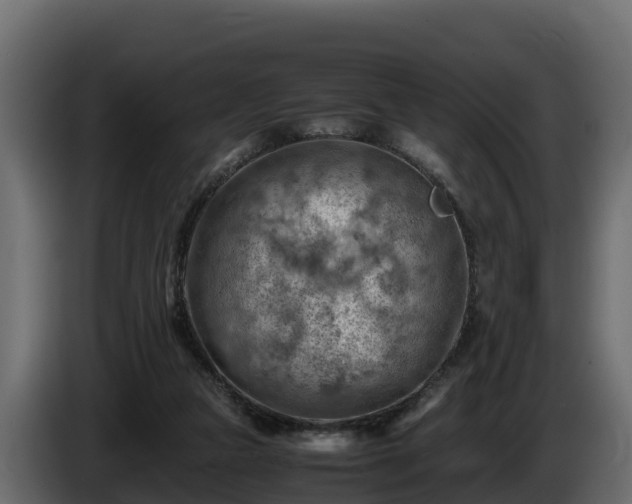 X0000085750161200703231140