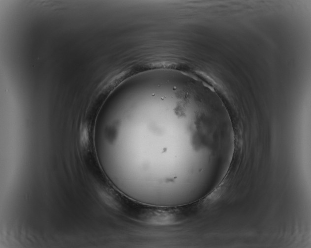 X0000085750166200703231140