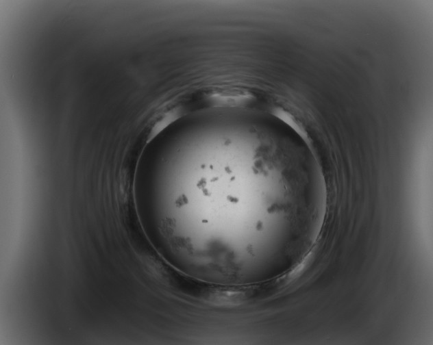 X0000085750174200703231140