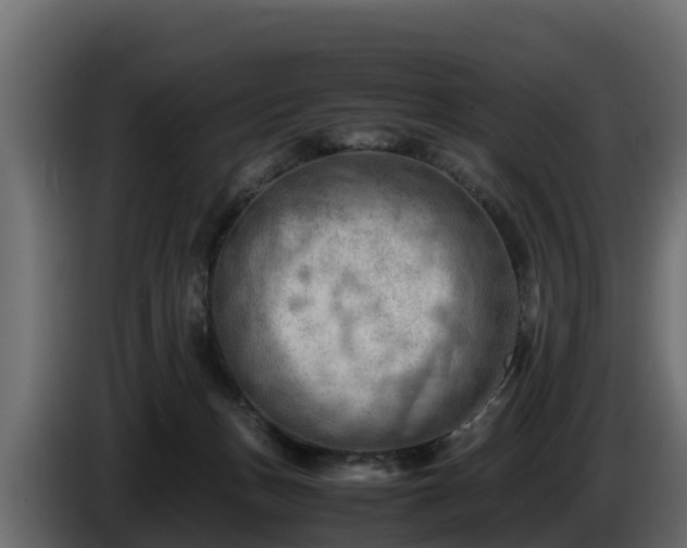 X0000085750175200703231140