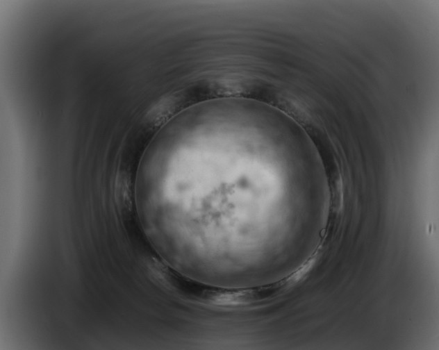 X0000085750178200703231140