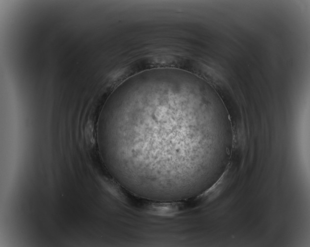 X0000085750187200703231140