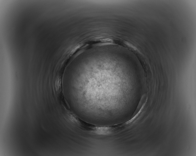 X0000085750192200703231140