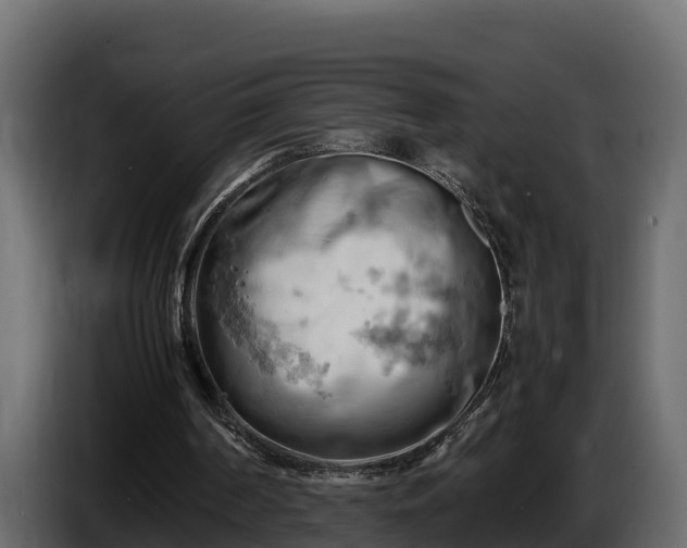 X0000085750194200703231140