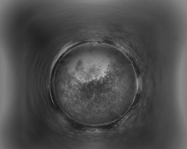 X0000085750195200703231140