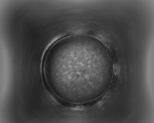 X0000085750196200703231140