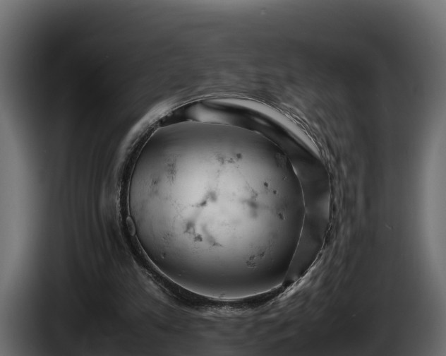 X0000085750197200703231140