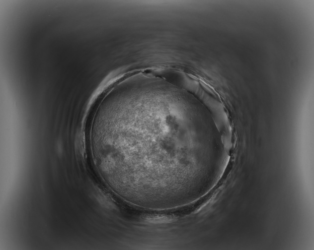 X0000085750198200703231140