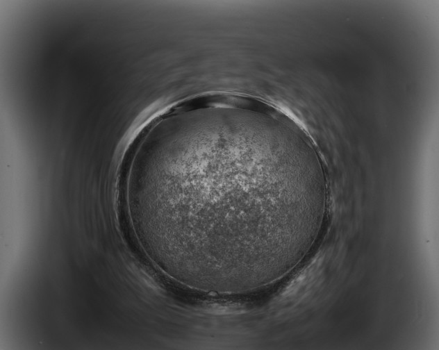 X0000085750199200703231140