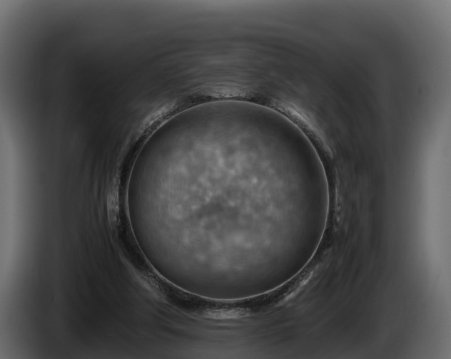 X0000085750202200703231140