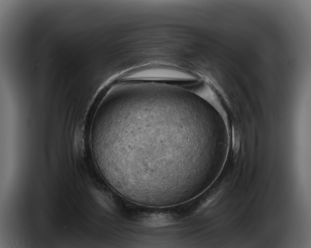 X0000085750204200703231140