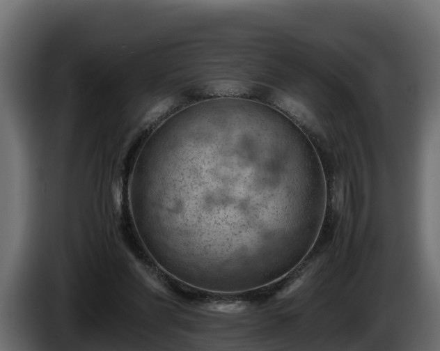 X0000085750206200703231140