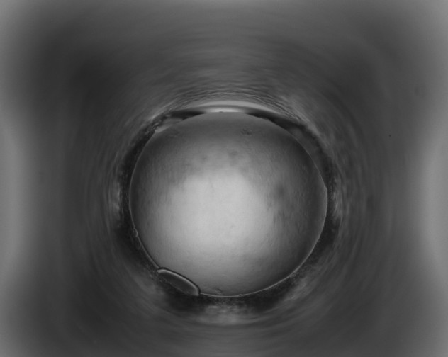 X0000085750211200703231139